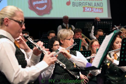 Bundeswettbewerb für Konzertmusik 2015