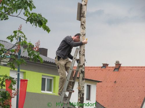 Maibaumstellen 2015