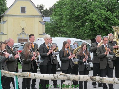 Maibaumstellen 2015