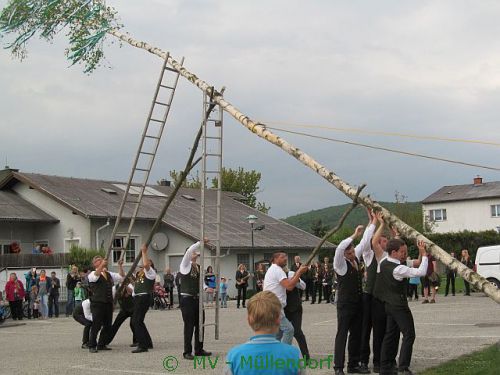 Maibaumstellen 2015