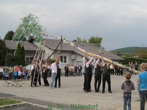 Maibaumstellen 2015