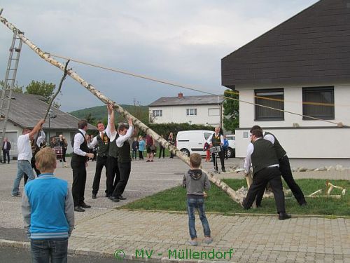 Maibaumstellen 2015