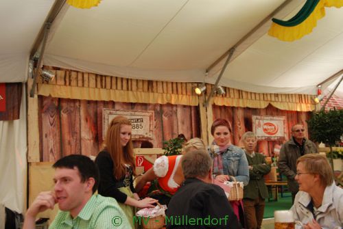 Wiener Wiesn' 2013